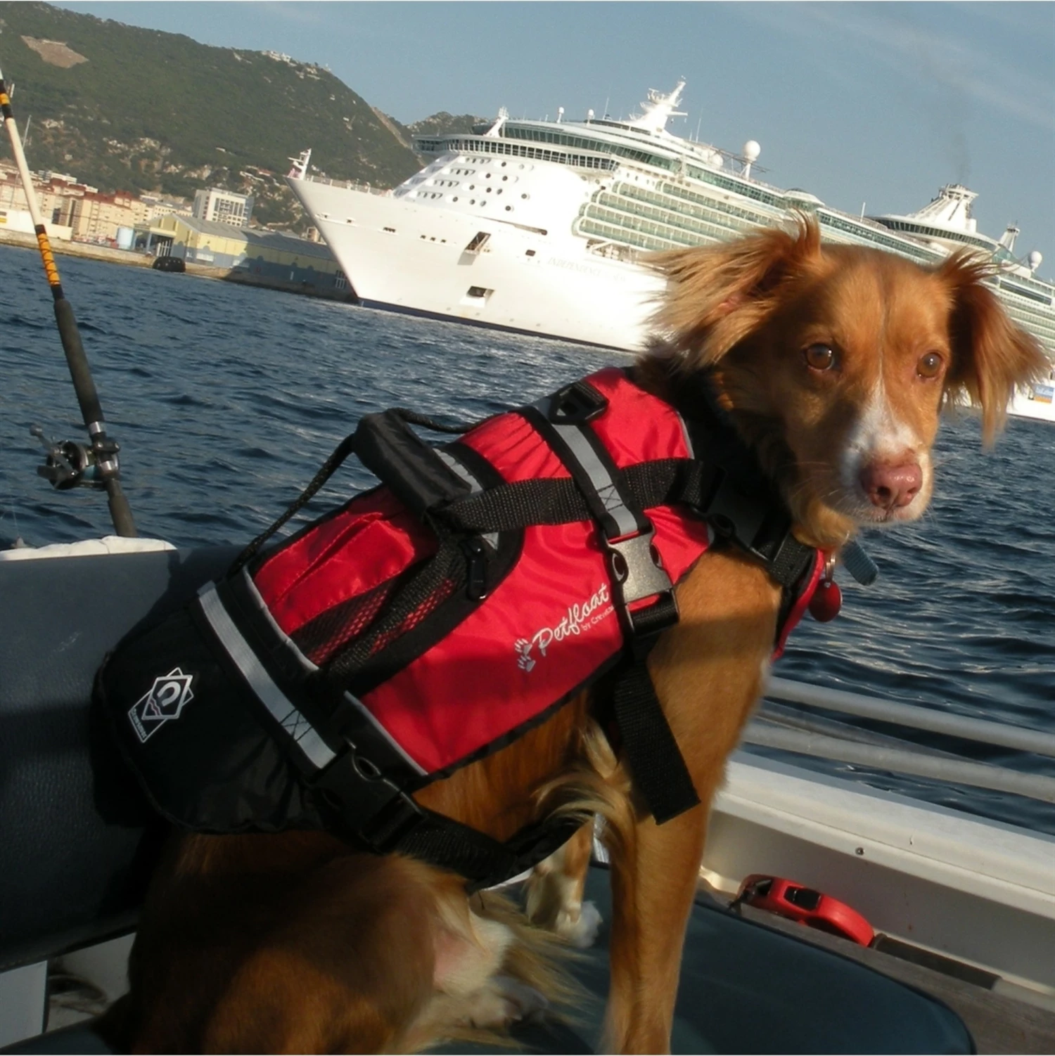 Crewsaver Pet Dog / Cat Lifejacket Float 4 Crewsaver Pet Dog / Cat Lifejacket Float - Image 2