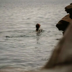 Womens Nikki Van Dijk Bikini Cut 1mm Front Zip Springsuit Wetsuit -Surf Sales Shop 45826 120mm20Springsuit20Bikini20Cut20Front20Zip20Moon202010.2000x2000