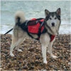 Crewsaver Pet Dog / Cat Lifejacket Float 1 Crewsaver Pet Dog / Cat Lifejacket Float -Surf Sales Shop cs petfloat husky 500x500.2000x2000