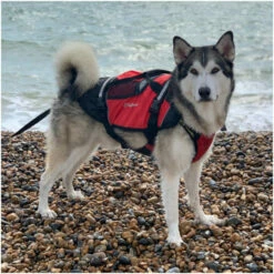 Crewsaver Pet Dog / Cat Lifejacket Float
